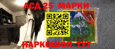 мдпв Кингисепп