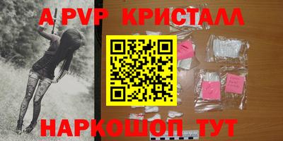 мдпв Кингисепп