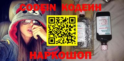 мдпв Кингисепп