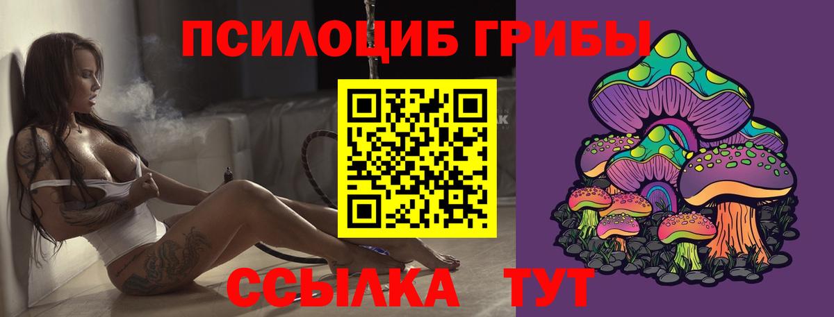 Тула  Псилоцибиновые грибы GOLDEN TEACHER  магазин продажи   Вход с VPN 